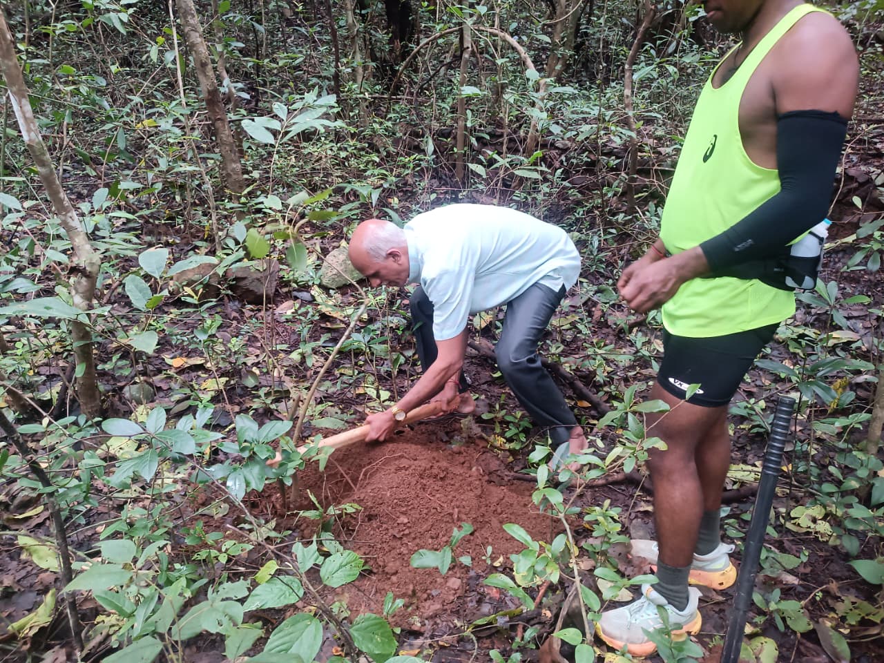 Samidha Tree Plantation